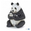 Sitzender Panda mit Jungem