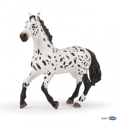 Large Appaloosa horse