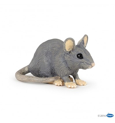 House mouse