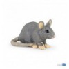 House mouse