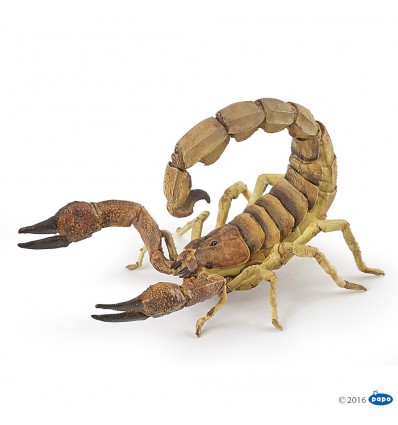 Scorpion