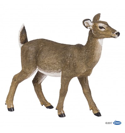 White-tailed doe