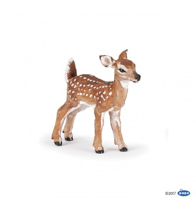 White-tailed fawn