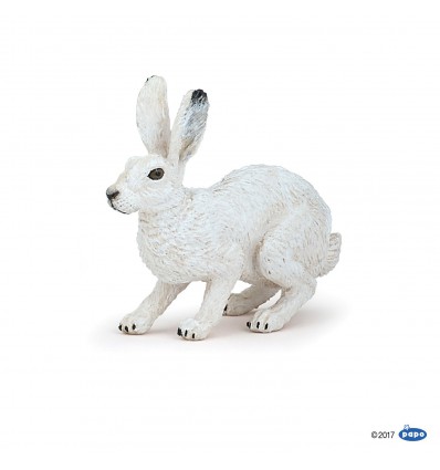 Arctic hare