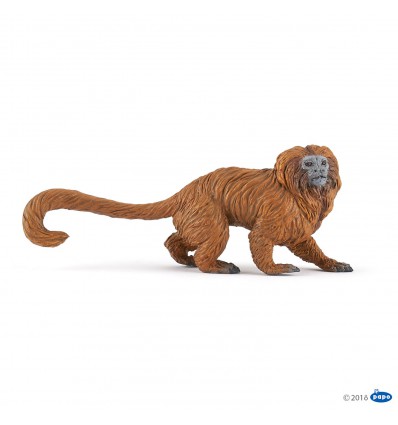 Golden lion tamarin