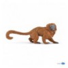 Golden lion tamarin