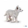 Jeune loup polaire 
