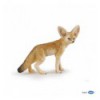 Fennec fox