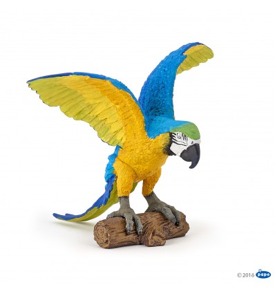 blue ara parrot