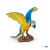 blue ara parrot