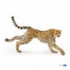 Running cheetah