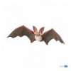 Chauve-souris