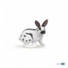 Lapin papillon