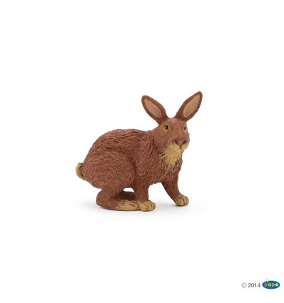 Brown rabbit