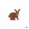 Brown rabbit