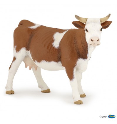 Simmental cow