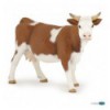 Simmental cow