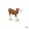 Simmental calf