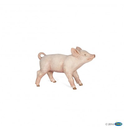 Cochonnet femelle