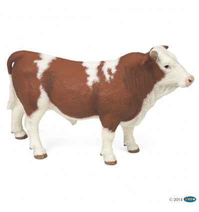 Simmental bull