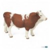 Simmental bull