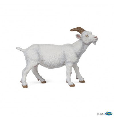 White nanny goat