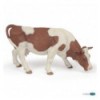 Vache simmental broutant 