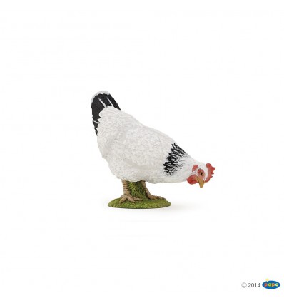 Pecking white hen