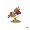 Mandarin duck