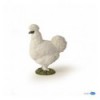 Poule soie