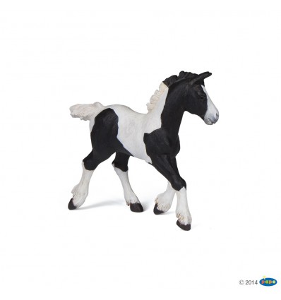 Black piebald cob foal