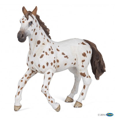 Appaloosa Stute braun