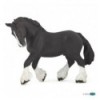 Black shire horse 