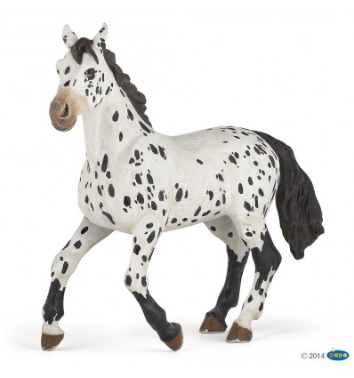 Appaloosa Pferd schwarz