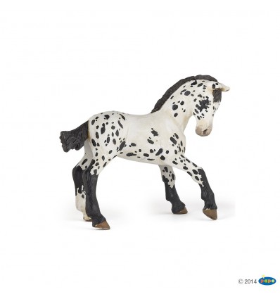 Poulain appaloosa noir