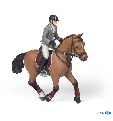 Competition horse with rider