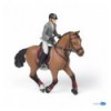 Competition horse with rider