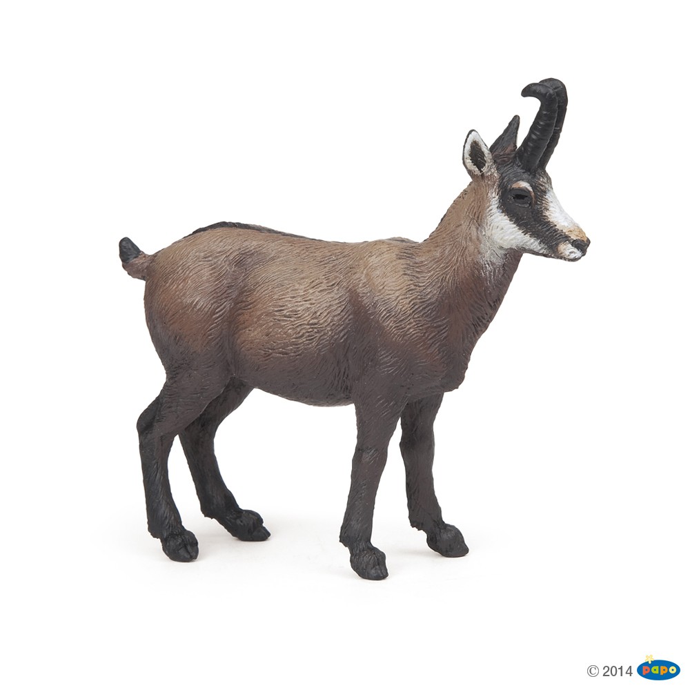 Chamois Papo Chamois Papo