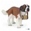 Saint Bernard 