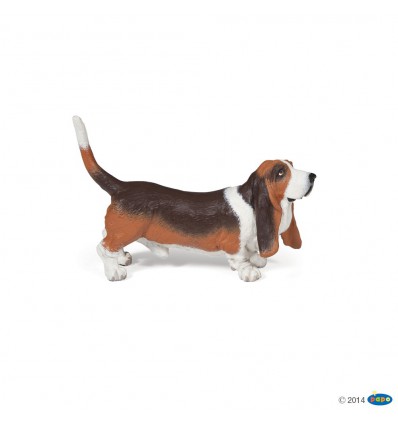 Basset Hound