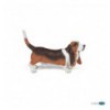 Basset Hound