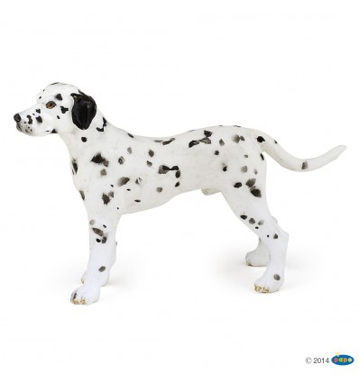 Dalmatian