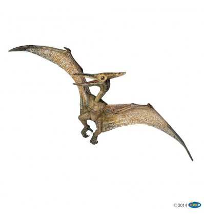 Pteranodon