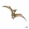 Pteranodon