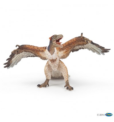 Archaeopteryx