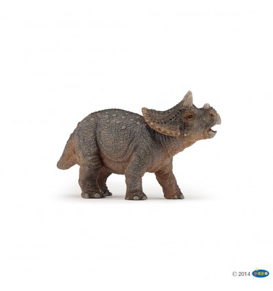 Junger Triceratops