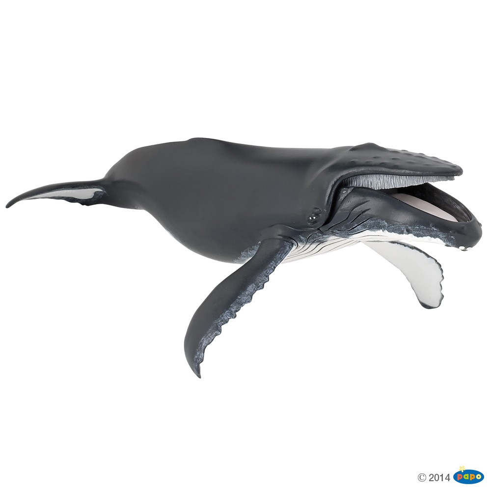 Humpback whale - Papo