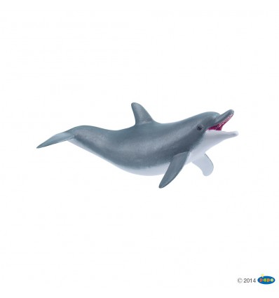 Spielender Delphin