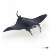 Manta ray