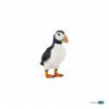 Puffin